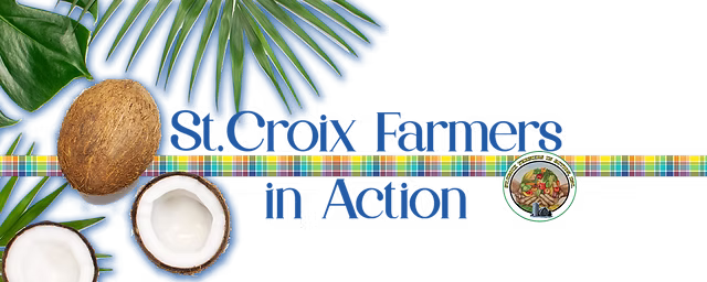 Cultivating Innovation: SCFIA’s Mango Processing Venture Bears Fruit